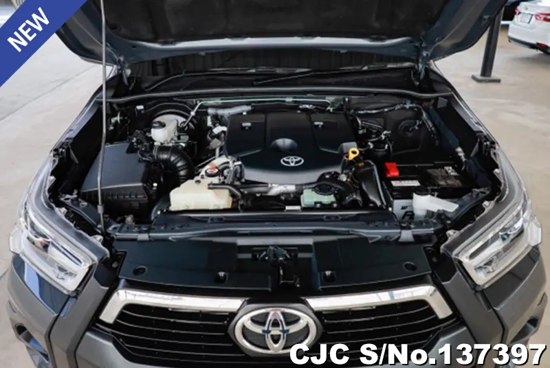 Toyota Hilux in Gray for Sale Image 7