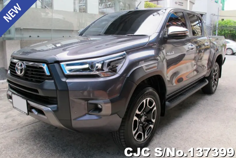 Toyota Hilux in Gray for Sale Image 3