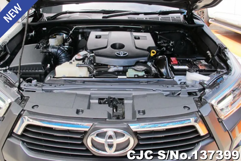 Toyota Hilux in Gray for Sale Image 12