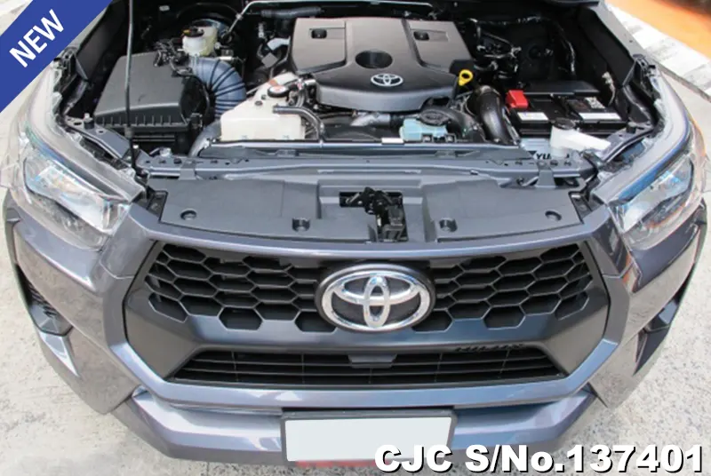 Toyota Hilux in Gray for Sale Image 12