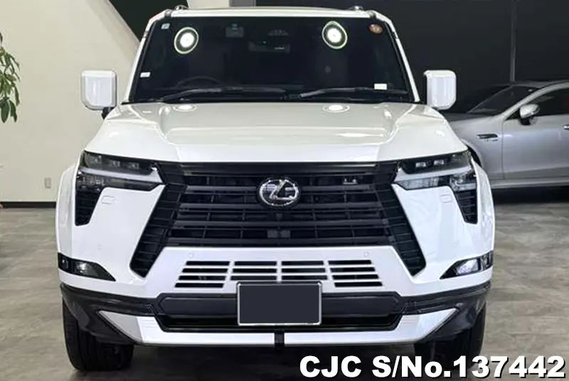 2025 Lexus / GX 550 Stock No. 137442