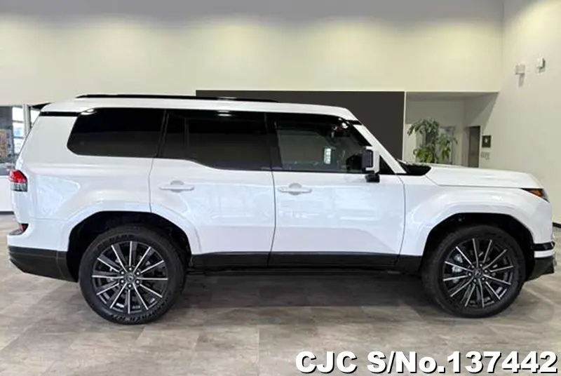 2025 Lexus / GX 550 Stock No. 137442