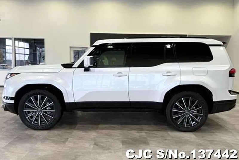 2025 Lexus / GX 550 Stock No. 137442