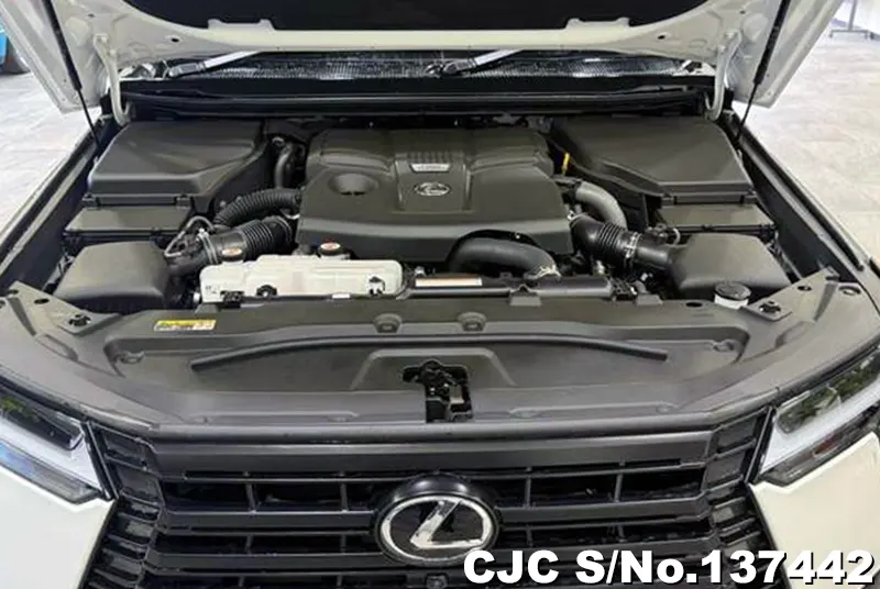 2025 Lexus / GX 550 Stock No. 137442