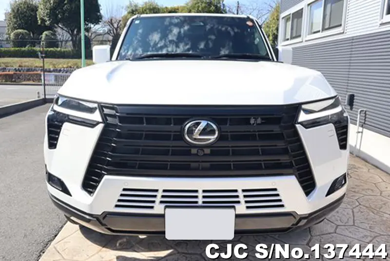 2025 Lexus / GX 550 Stock No. 137444