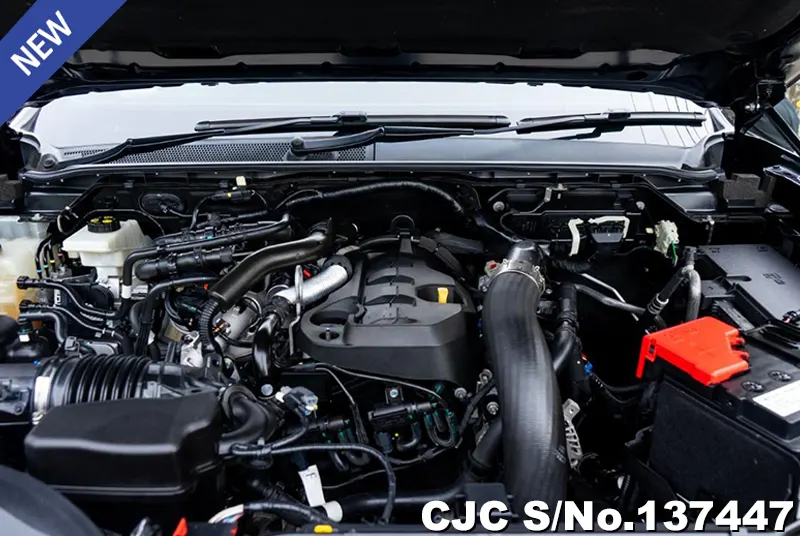 Ford Ranger in Black for Sale Image 16