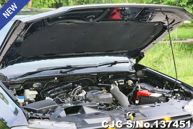 2023 Ford / Everest Stock No. 137451