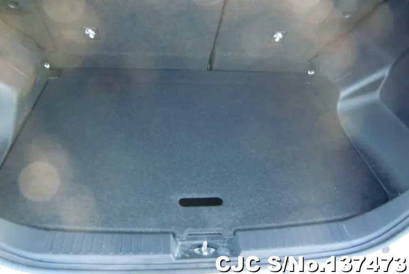2020 Toyota / Raize Stock No. 137473