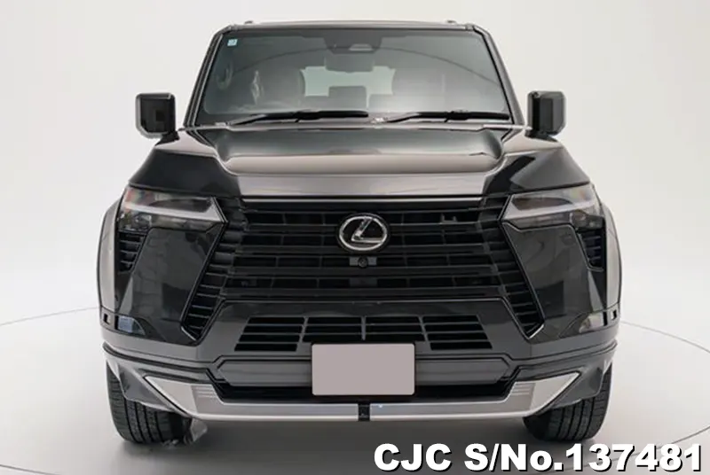 2025 Lexus / GX 550 Stock No. 137481