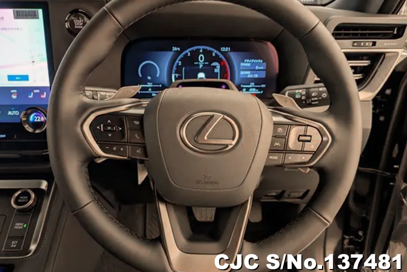 2025 Lexus / GX 550 Stock No. 137481