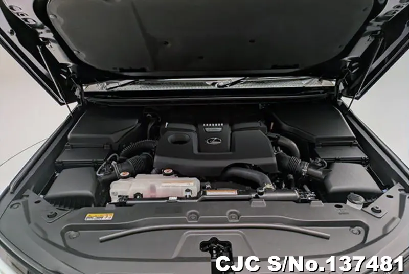 2025 Lexus / GX 550 Stock No. 137481