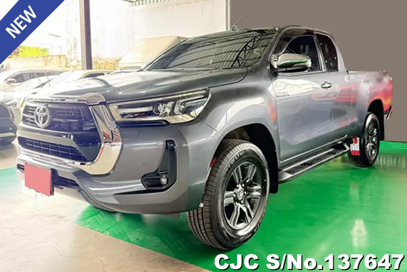Toyota Hilux in Gray for Sale Image 1