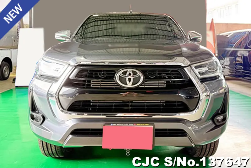 Toyota Hilux in Gray for Sale Image 2