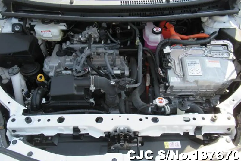 2021 Toyota / Aqua Stock No. 137670