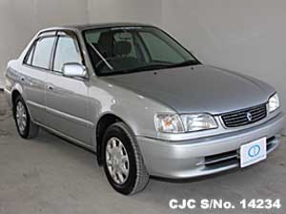 1999 Toyota Corolla Silver For Sale Stock No 14234 Japanese Used Cars Exporter