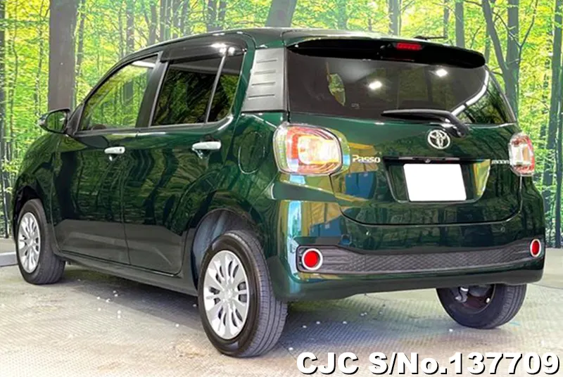 2017 Toyota / Passo Stock No. 137709