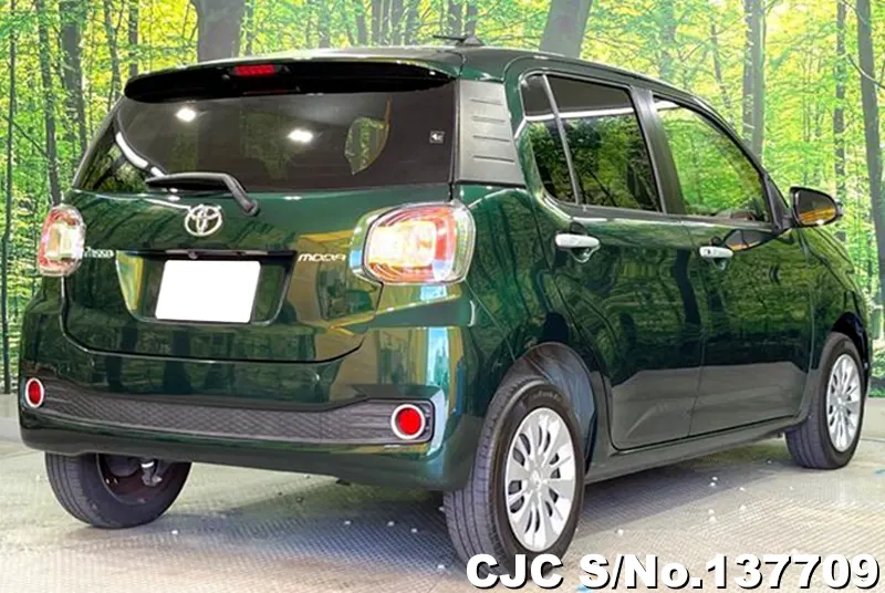 2017 Toyota / Passo Stock No. 137709