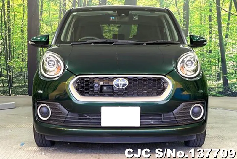 2017 Toyota / Passo Stock No. 137709
