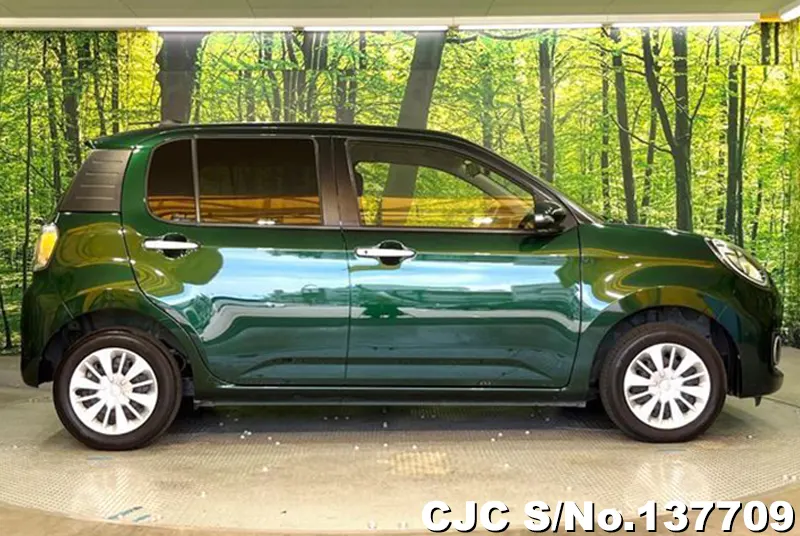 2017 Toyota / Passo Stock No. 137709
