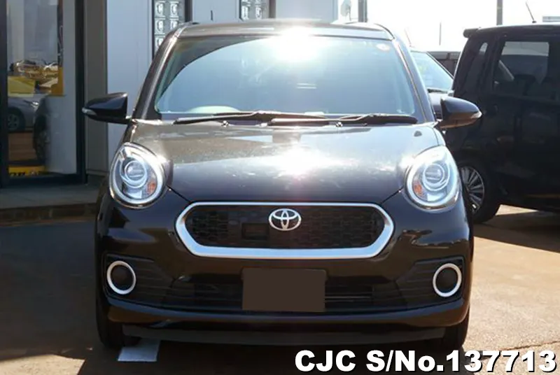 2017 Toyota / Passo Stock No. 137713