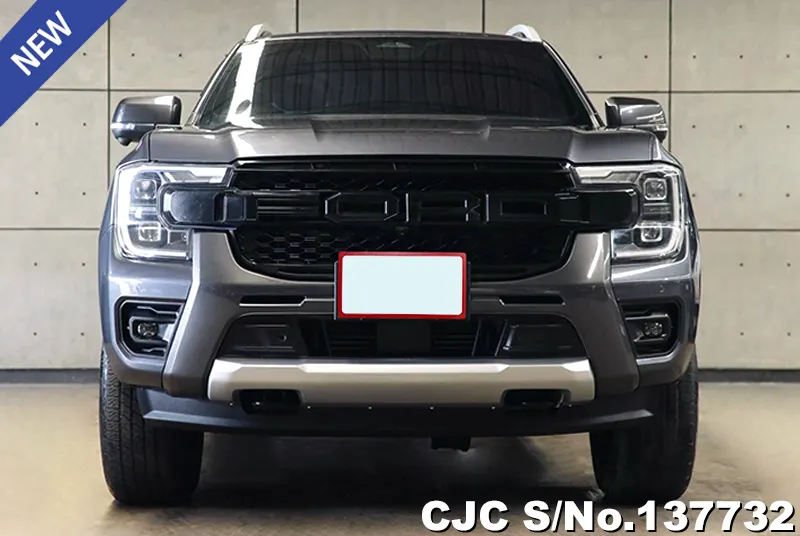 Ford Ranger in Gray for Sale Image 1