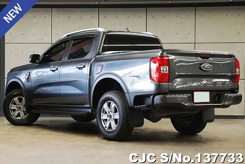 Ford Ranger in Gray for Sale Image 1