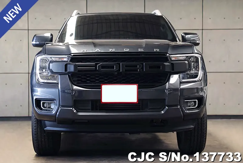 Ford Ranger in Gray for Sale Image 2