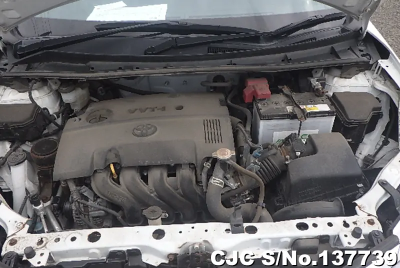 2021 Toyota / Corolla Axio Stock No. 137739