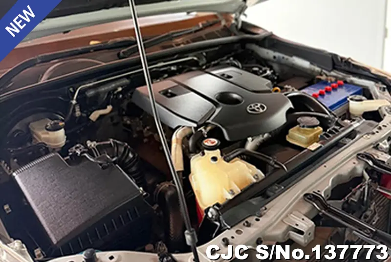2020 Toyota / Hilux / Revo Stock No. 137773
