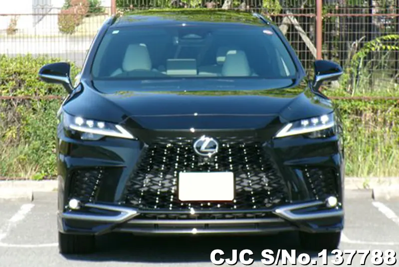 2025 Lexus / RX 350 Stock No. 137788