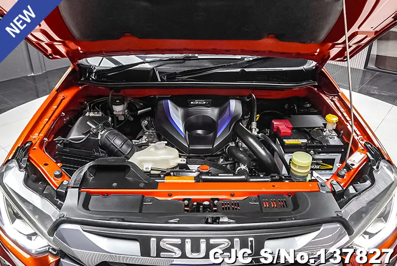 Isuzu D-Max in Orange for Sale Image 14