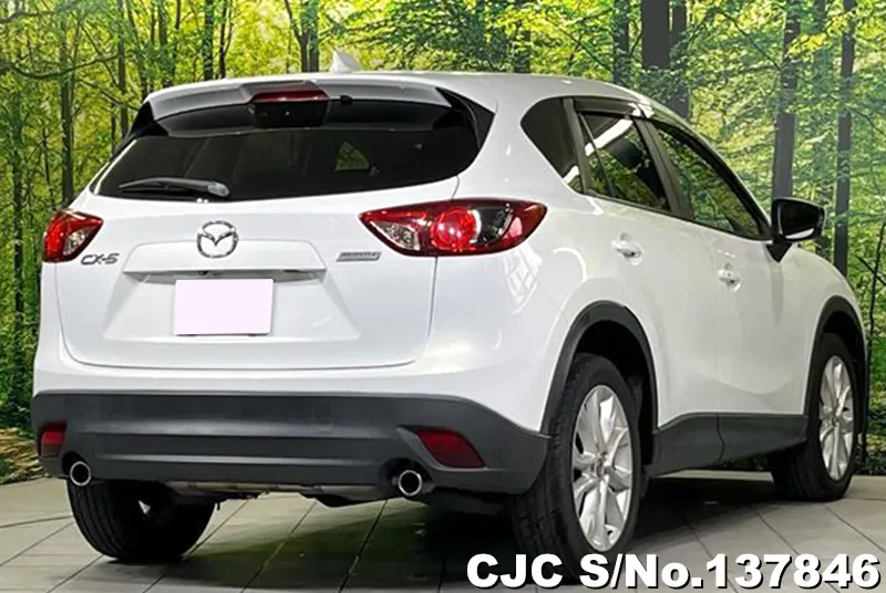 2013 Mazda / CX-5 Stock No. 137846