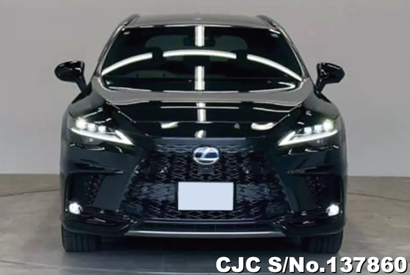 2025 Lexus / RX 500h  Stock No. 137860