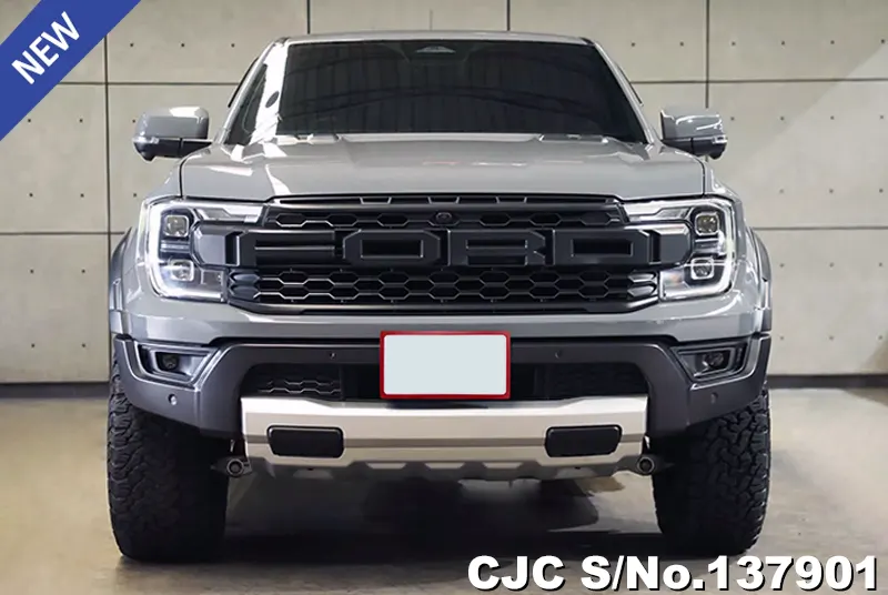 Ford Ranger in Gray for Sale Image 2