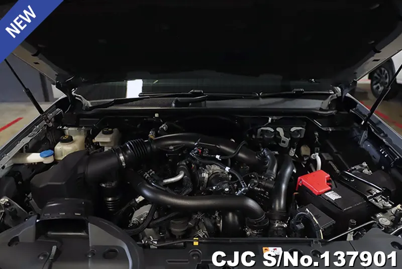 2023 Ford / Ranger / Raptor Stock No. 137901