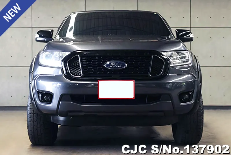 Ford Ranger in Gray for Sale Image 2