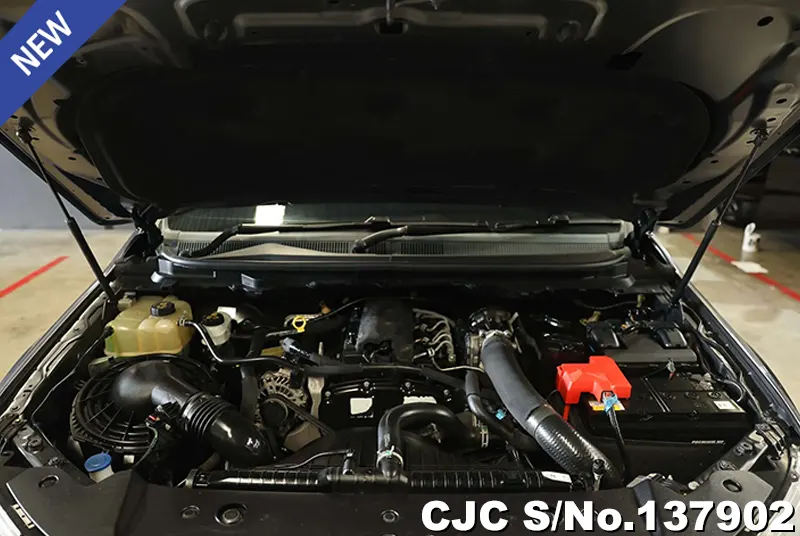 2021 Ford / Ranger Stock No. 137902