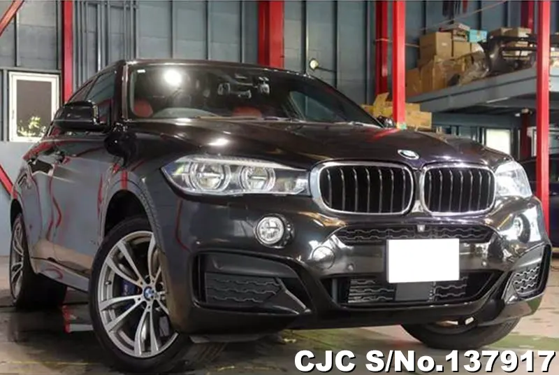 2017 BMW / X6 Stock No. 137917