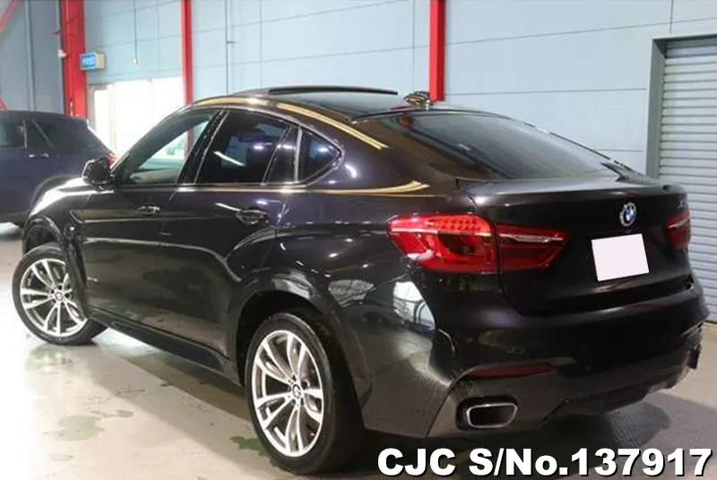 2017 BMW / X6 Stock No. 137917