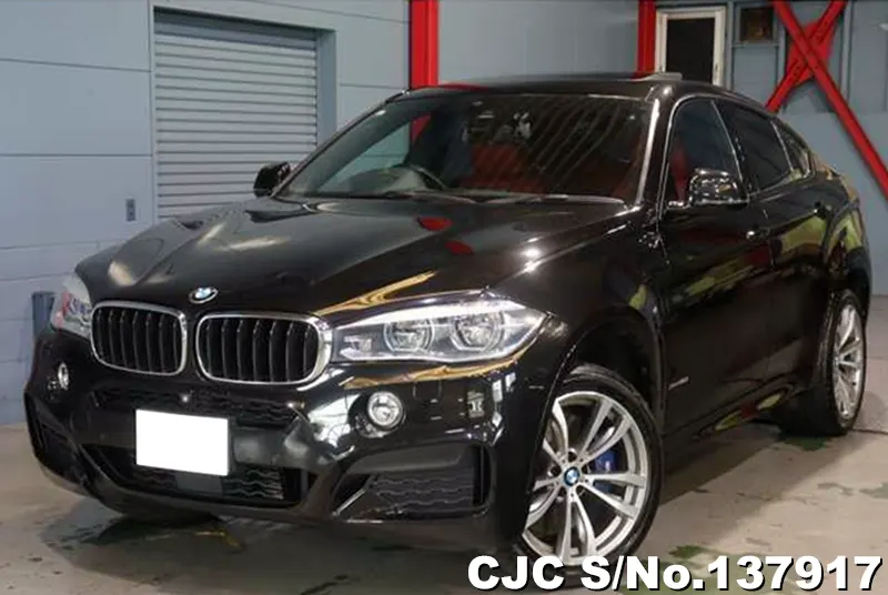 2017 BMW / X6 Stock No. 137917