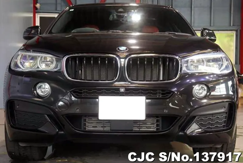 2017 BMW / X6 Stock No. 137917