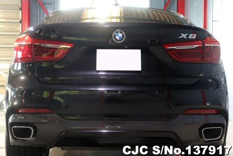 2017 BMW / X6 Stock No. 137917