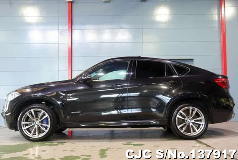 2017 BMW / X6 Stock No. 137917