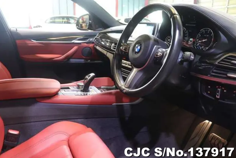 2017 BMW / X6 Stock No. 137917