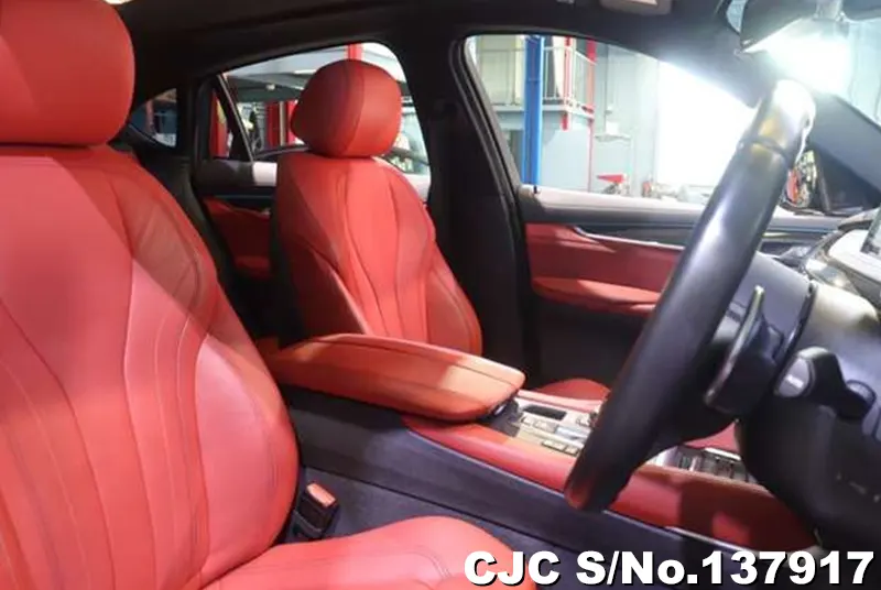 2017 BMW / X6 Stock No. 137917