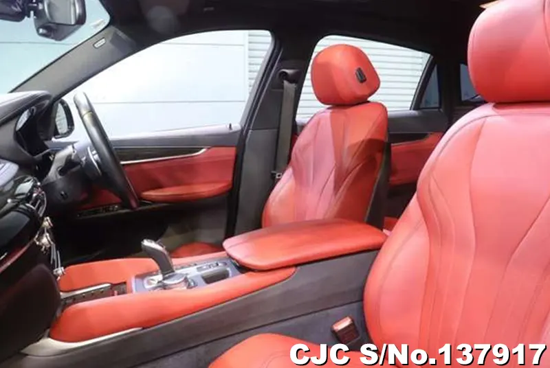 2017 BMW / X6 Stock No. 137917