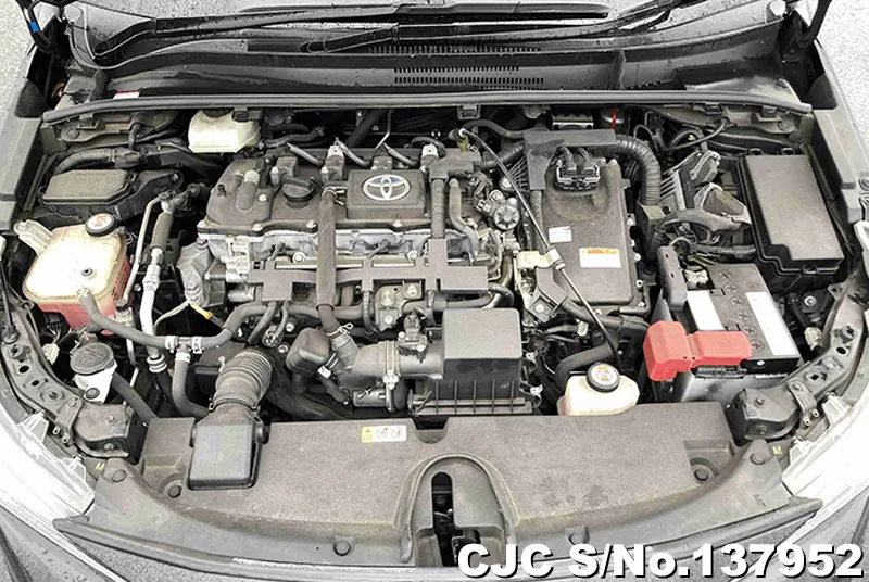 2019 Toyota / Corolla Touring Stock No. 137952