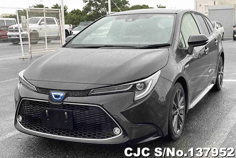 2019 Toyota / Corolla Touring Stock No. 137952