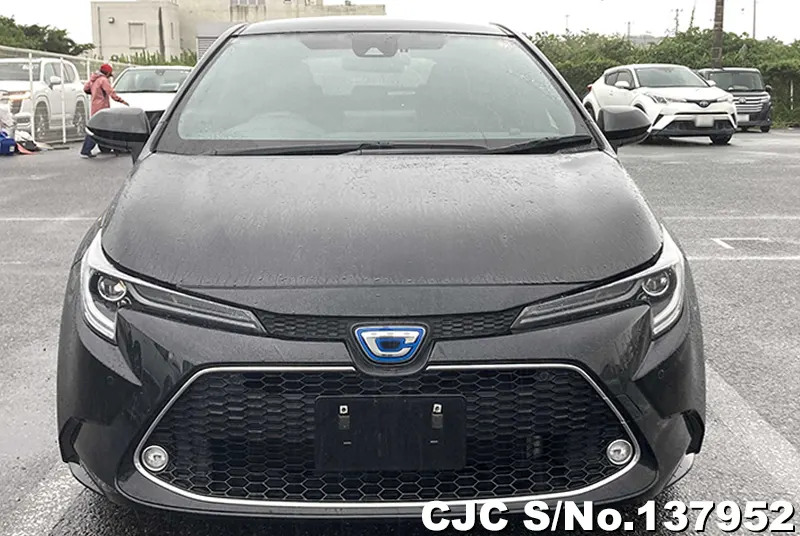 2019 Toyota / Corolla Touring Stock No. 137952