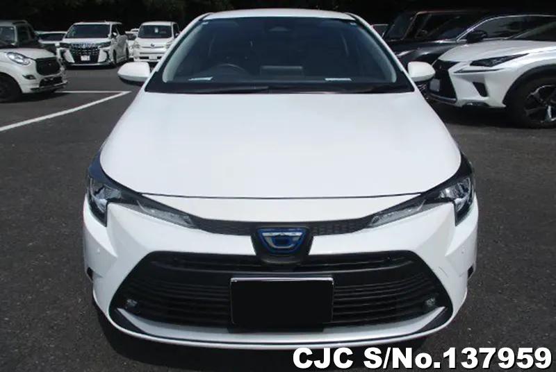 2025 Toyota / Corolla Touring Stock No. 137959
